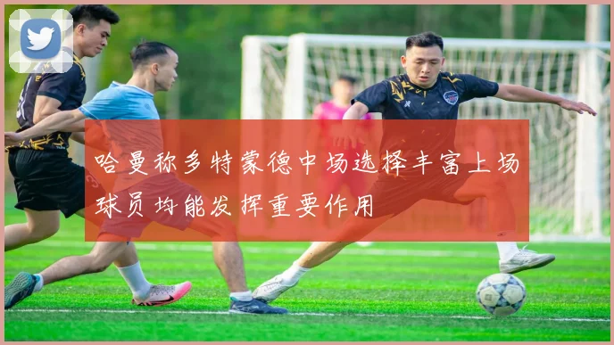 哈曼称多特蒙德中场选择丰富上场球员均能发挥重要作用
