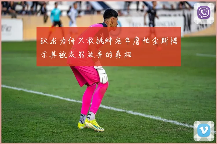 狄龙为何只敢挑衅老年詹帕金斯揭示其被灰熊放弃的真相