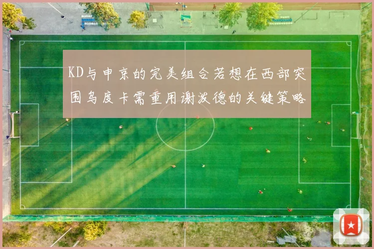 KD与申京的完美组合若想在西部突围乌度卡需重用谢泼德的关键策略